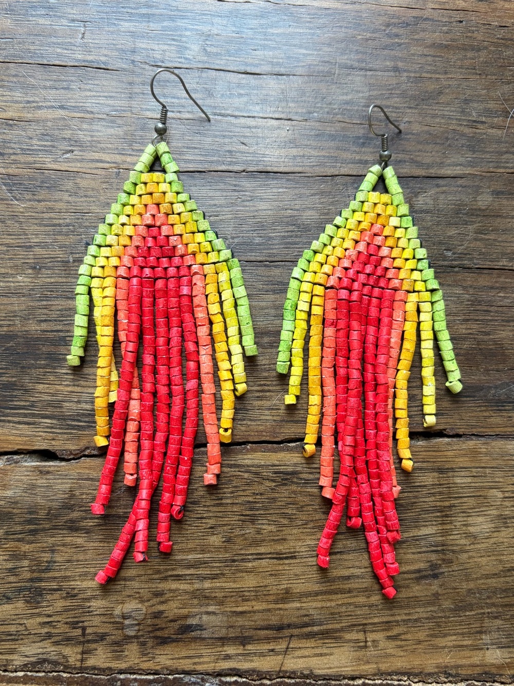 Seed Bead Fringe Earrings